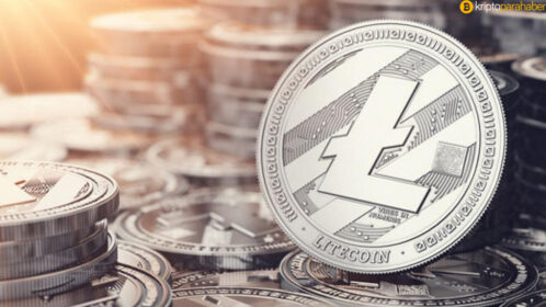 Litecoin yakın zamanda 300 dolar seviyesine ulaşabilecek mi?