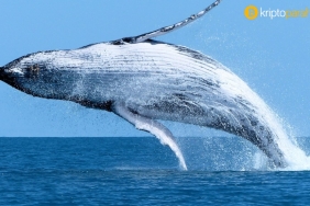 Bitcoin balinası, düşüşte alım yapmaya devam ediyor!