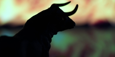 Bitcoin boğası milyarder Tim Draper, favori altcoinlerini açıkladı