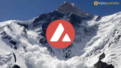 AVAX, yükselişle dikkatleri üzerine çekiyor