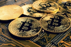 "Bundan on yıl sonra, herkes daha fazla Bitcoin almış olmayı dileyecek"