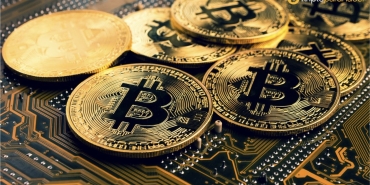 "Bundan on yıl sonra, herkes daha fazla Bitcoin almış olmayı dileyecek"