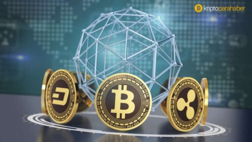 Anket: En çok hangi yaş grubu kripto paraları tercih ediyor?