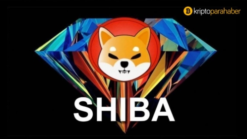 Shiba Inu, ETH balinaları arasından en fazla ERC-20 cüzdan payına ulaştı!