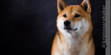 Shiba Inu, Kraken borsasında listeleniyor! SHIB fiyatı yükselişe geçti