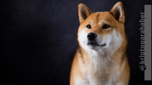 Shiba Inu, Kraken borsasında listeleniyor! SHIB fiyatı yükselişe geçti