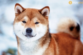 Shiba Inu fiyatı sıkıştı, beklenen artış ne zaman gelecek?