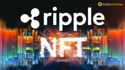 David Schwartz: “Ripple Ethereum’un NFT hakimiyetine meydan okuyacak”