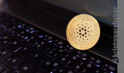 Şimdi yatırım yapmaya karar verdiyseniz, hangi kripto para birimi mantıklı olabilir?