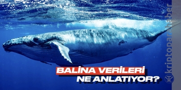 Bitcoin balina verileri dikkat çekiyor