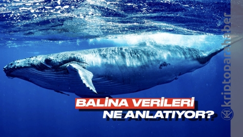 Kritik Bitcoin balina verisi ortaya çıktı! Nasıl yorumlanmalı?