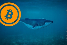 Bitcoin balinaları, BTC’nin fiyatını yukarı taşımaya çalışıyor