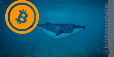 Bitcoin balinaları, BTC’nin fiyatını yukarı taşımaya çalışıyor