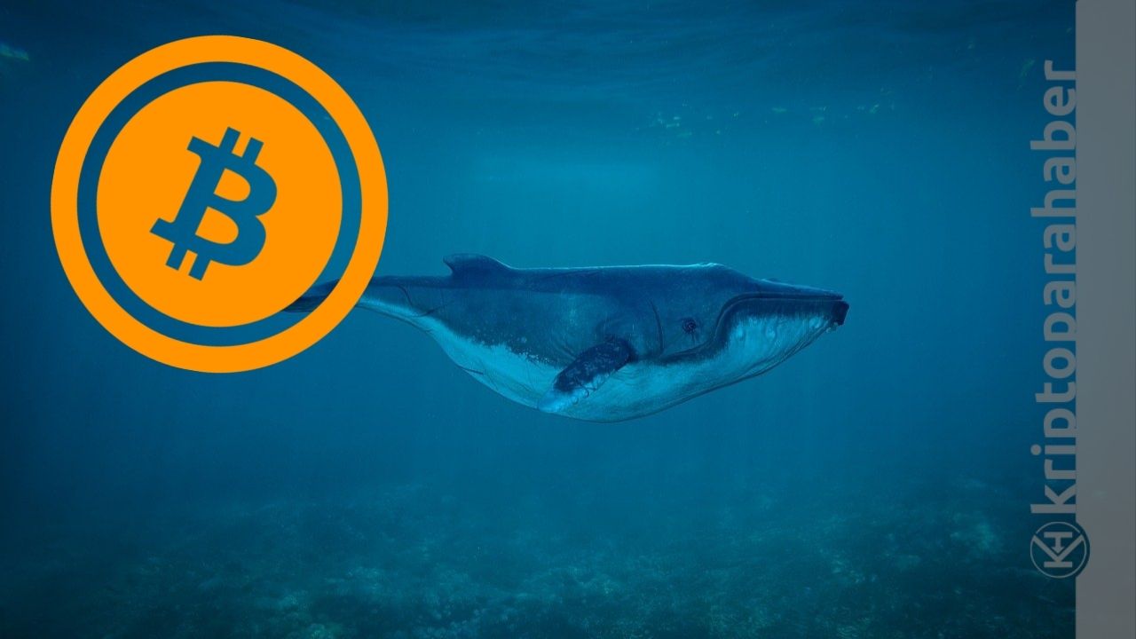 Bitcoin balinaları, BTC’nin fiyatını yukarı taşımaya çalışıyor