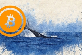 Bitcoin cüzdanları, düşüşte harekete geçti: Bu ne anlama geliyor?