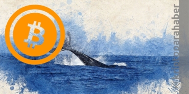 Bitcoin cüzdanları, düşüşte harekete geçti: Bu ne anlama geliyor?