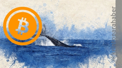 Bitcoin cüzdanları, düşüşte harekete geçti: Bu ne anlama geliyor?