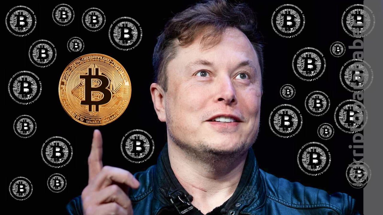 Bitcoin'in mucidi Elon Musk mı?