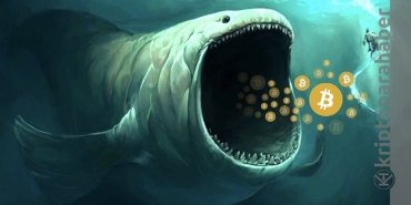 Çılgın Bitcoin balinası büyük bir alım yaptı.