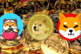 2021 yılına damga vuran DOGE, SHIB, DAO ve NFT'leri önümüzdeki yıl neler bekliyor?