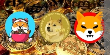 2021 yılına damga vuran DOGE, SHIB, DAO ve NFT'leri önümüzdeki yıl neler bekliyor?