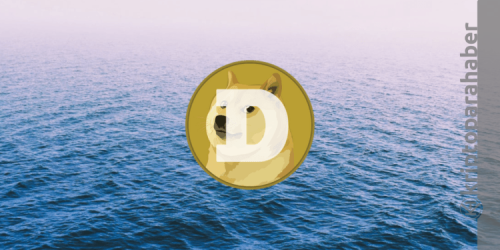 Dogecoin fiyat analizi: DOGE 0,16 doların altına mı düşecek?