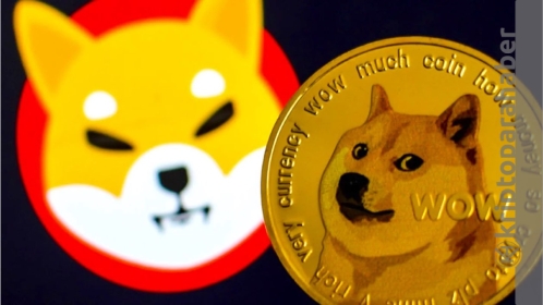 Dogecoin ve Shiba Inu savaşında yeni perde! 13 kat fark attı