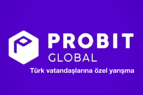 Probit yarışma