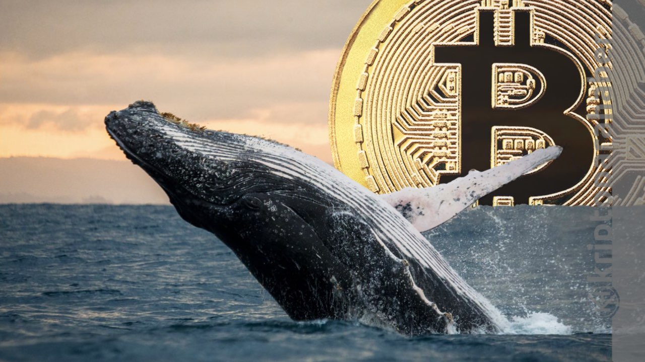 En büyük üçüncü Bitcoin balinası uyandı