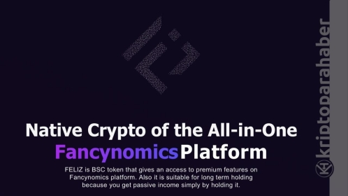 Hepsi bir arada kripto platformu Feliz Finance ön satışa çıkıyor