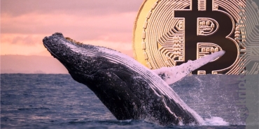 Kırmızı balina alarmı, Bitcoin fiyatı için ne anlatıyor?