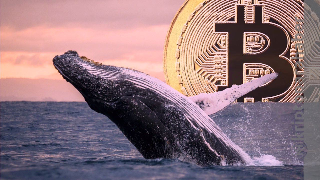 Kırmızı balina alarmı, Bitcoin fiyatı için ne anlatıyor?