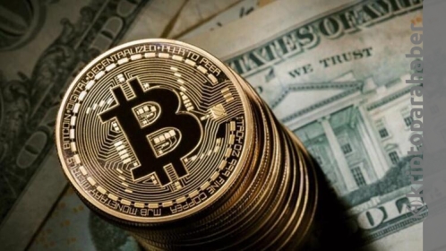 Kripto para piyasasında yaşanan çöküşler ile baş etmenin 5 yolu