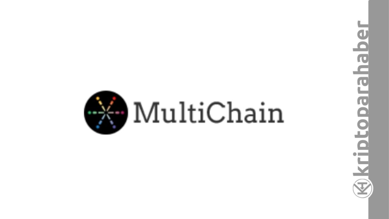 Multichain, son finansman turunda büyük bir yatırımcı kazandı