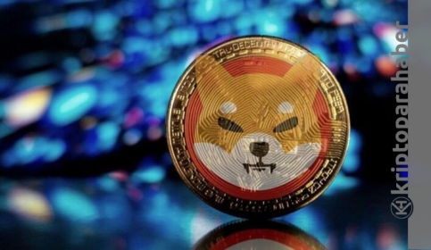 Shiba Inu 2022’de de büyük kazançlar elde edecek mi?