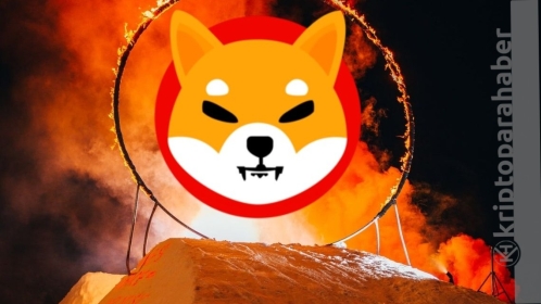 Shiba Inu, DOGGY DAO’nun ilk aşamasını duyurdu!