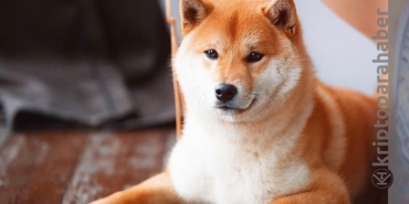 Shiba Inu kritik eşiği aştı