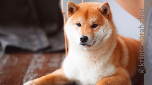 Shiba Inu “meteorik” eşiği aştı! Veriler alev alev… Fiyat artacak mı?