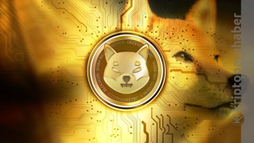 Ünlü TikTok fenomeni, bu şekilde kayıpsız Shiba kazanıyor!