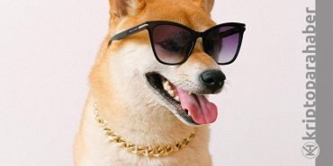 Shiba Inu son durum Shiba sinyal göstermeye başladı mı?