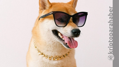 Shiba Inu son durum: Shiba sinyal göstermeye başladı mı?