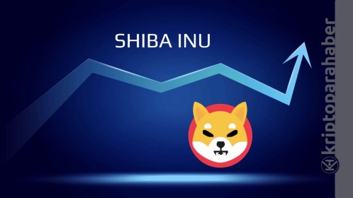 Flaş! Shiba Inu’da en kritik metrik alev aldı! Fiyatı doğrudan etkileyebilir