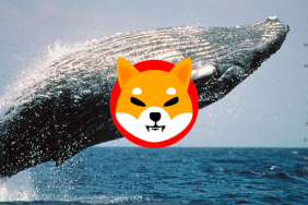 Blockchain verileri Ethereum Balinalarının Shiba Inu alımlarını artırmaya başladığını gösteriyor
