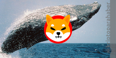 Blockchain verileri Ethereum Balinalarının Shiba Inu alımlarını artırmaya başladığını gösteriyor