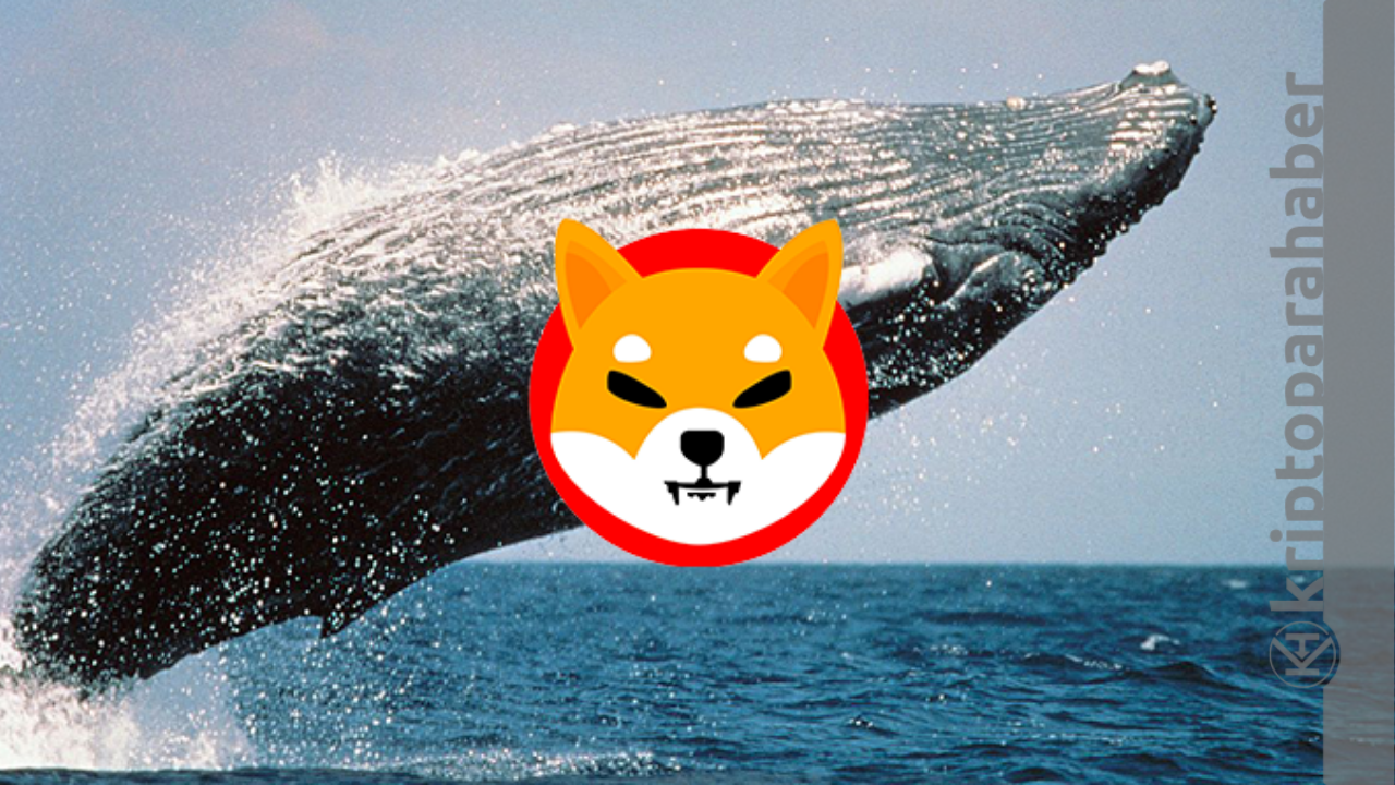 Blockchain verileri Ethereum Balinalarının Shiba Inu alımlarını artırmaya başladığını gösteriyor