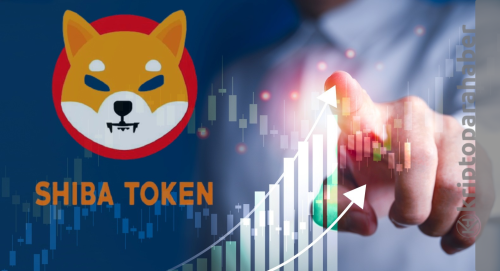 Shiba Inu fiyatında son durum: SHIB kısa vadede bir sıçrama yapabilir mi?
