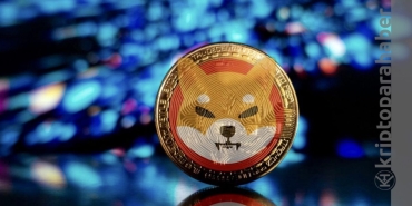 Shiba yakımlarla gündemde