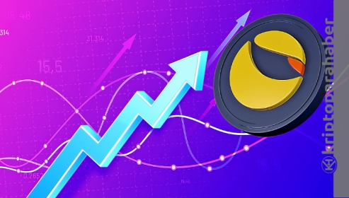 Terra fiyat analizi: 66 dolar ile tüm zamanların en yüksek seviyesinde