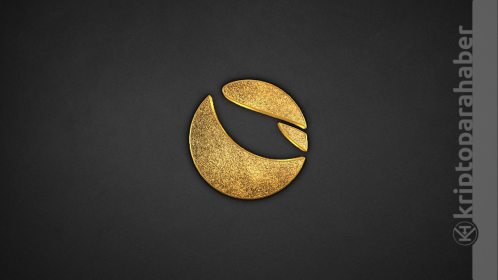 Bu kripto para, Shiba Inu’yu solladı! Piyasa değeri bir günde 25 milyar doları aştı