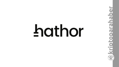 Toplanın, analist açıkladı: Bu altcoin yüzde 7.000 yapabilir